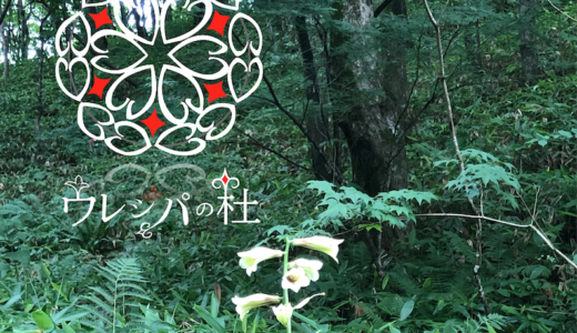 ウレㇱパの杜〜森林からアイヌ文化の世界観に触れる